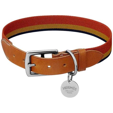 hermes pet collar|hermes dog collars for sale.